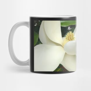 The Sweet White Magnolia Mug